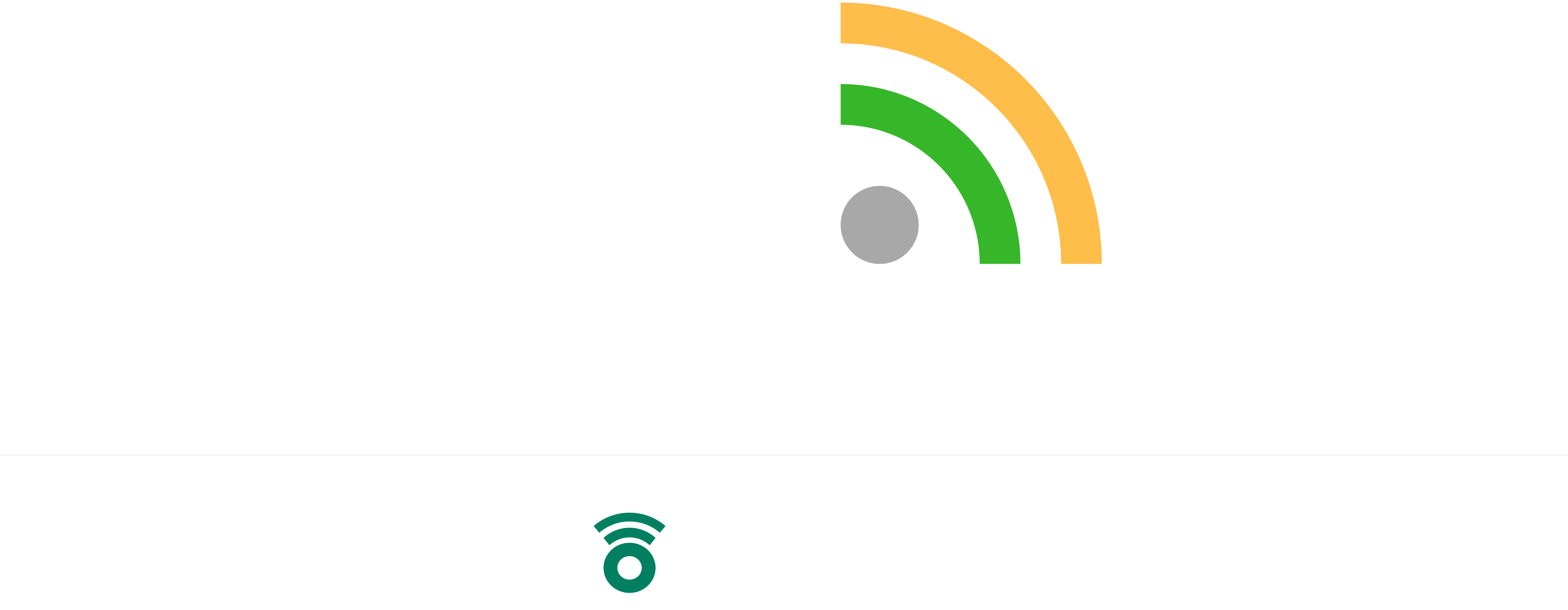 Footer Logo